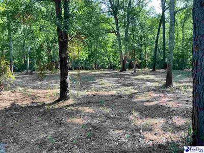 18 & 19 Pointe View Dr, Darlington, SC, 29532
