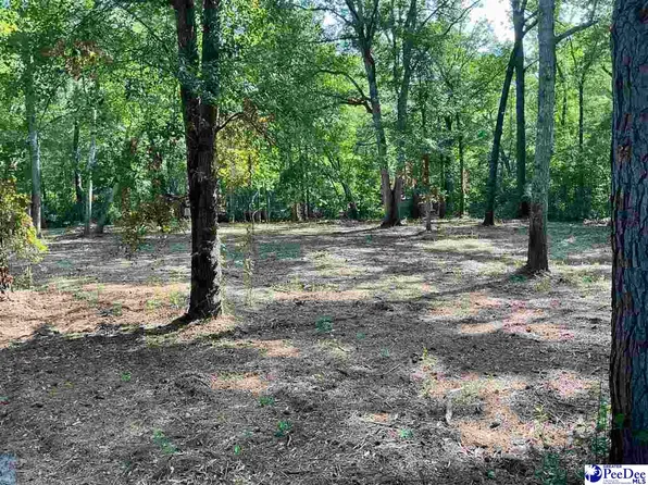 18 & 19 Pointe View Dr, Darlington, SC 29532