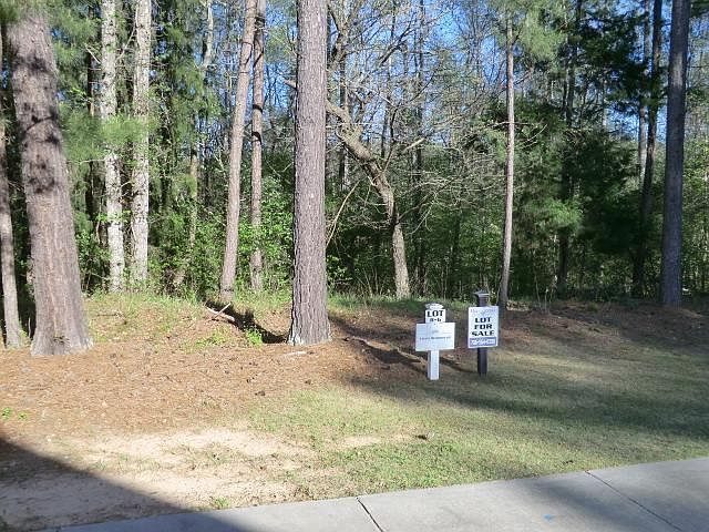 1st image of 20 Independent Hill Ln