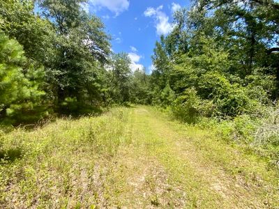 0 NE Dandelion St, Madison, FL, 32340