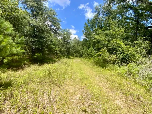 0 NE Dandelion St, Madison, FL 32340