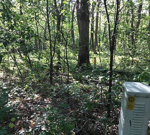 2nd image of 125 Oak Turnagain Ct