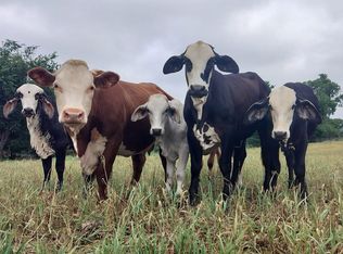 16 Out Off #13345, Azle, TX 76020