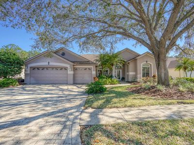 3712 Pendlebury Dr, Palm Harbor, FL, 34685