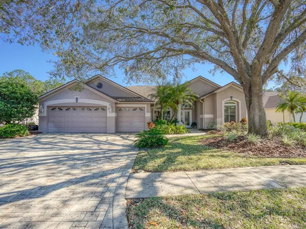 3712 Pendlebury Dr, Palm Harbor, FL 34685