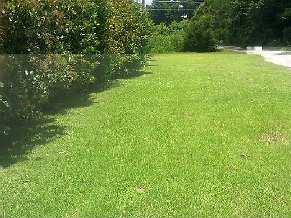 front yard
