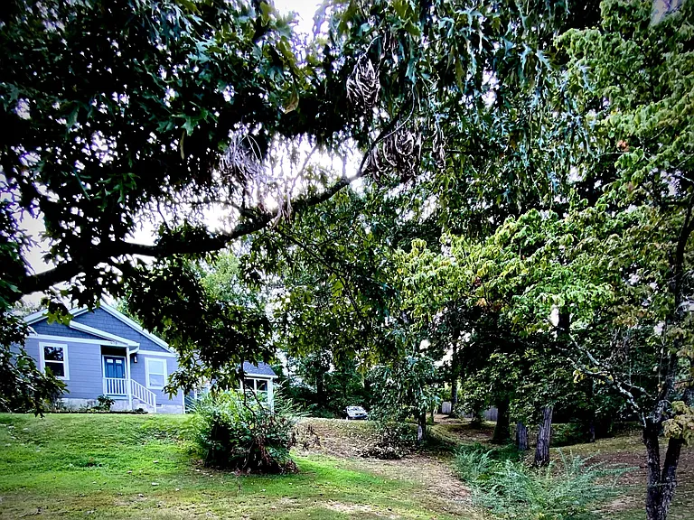 Lawson St — Photo 22