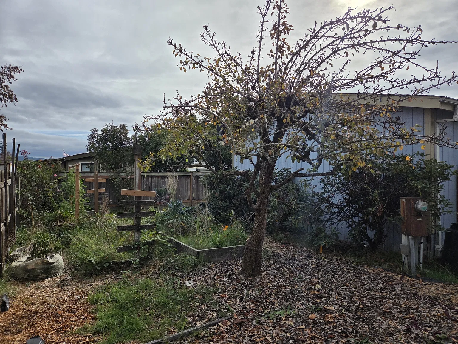 3 bed, 1300 sqft, $2,300 — Photo 4