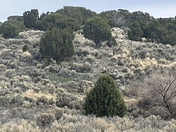 4th image of Lower Lamoille Hog Tommy Rd