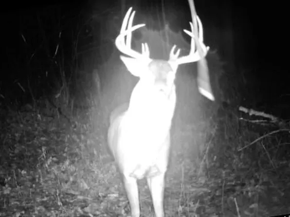 S2318 COUNTY HWY 35, Cochrane, WI 54622