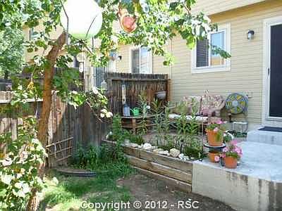 Peaceful back terrace with fruit tree.