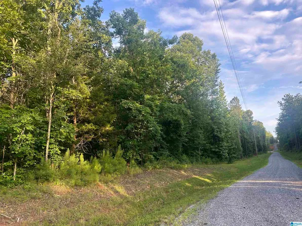 0 Summerset Ln, Munford, AL 36268