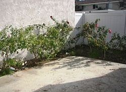 5th image of 1314 N Elderberry Ave