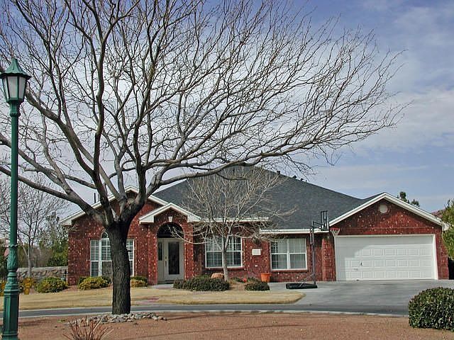 513 Autumn Willow