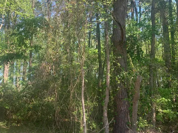 Leslie Ln, Texarkana, TX 75503