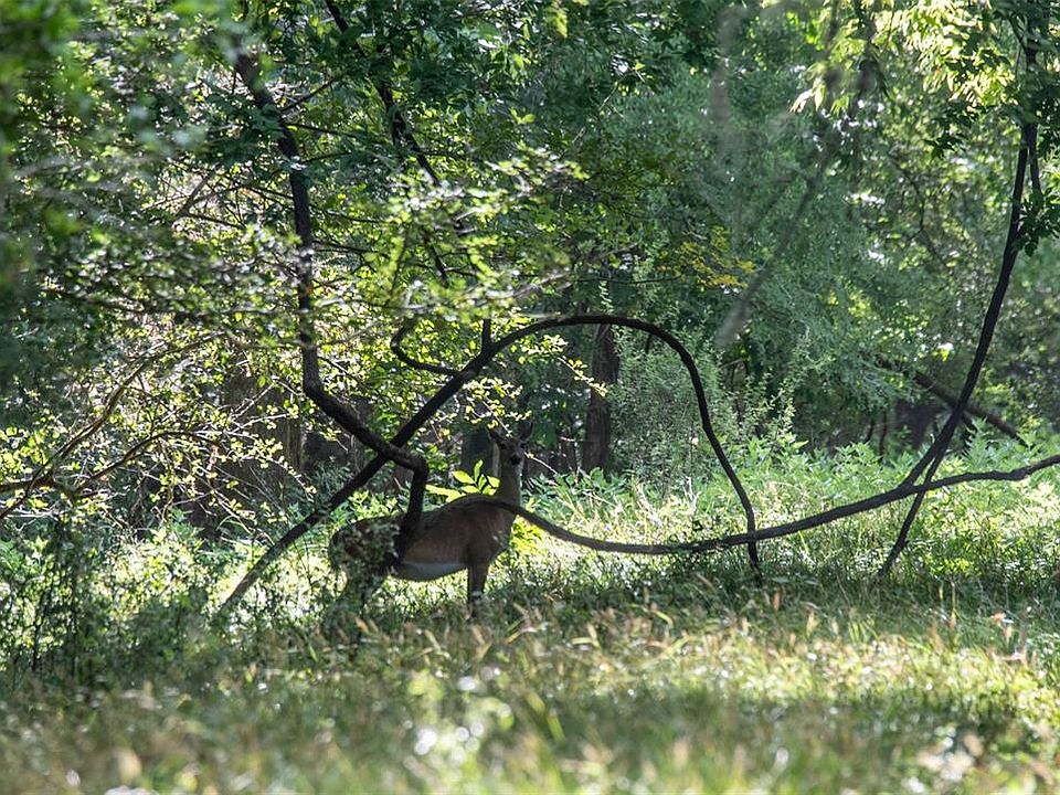 0 Texaco Rd, Thompsons, TX 77481 MLS 34087361 Zillow