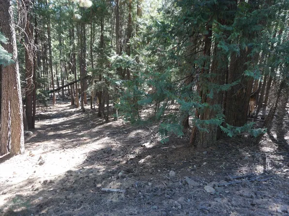 2449 Sugar Pine Trl, Quincy, CA 95971