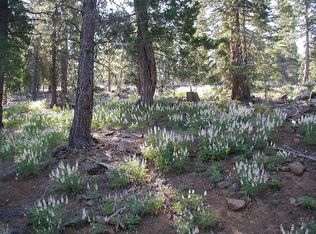 LOT A Grizzley Flats Rd, California Pines, CA 96101