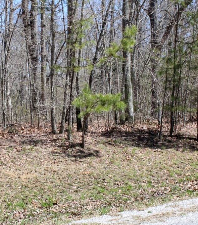 2nd image of 0 Reeves Rd