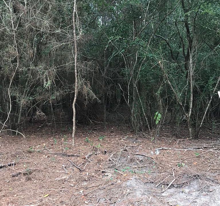 0 Burgetown Rd Carriere, MS, 39426 Apartments for Rent Zillow