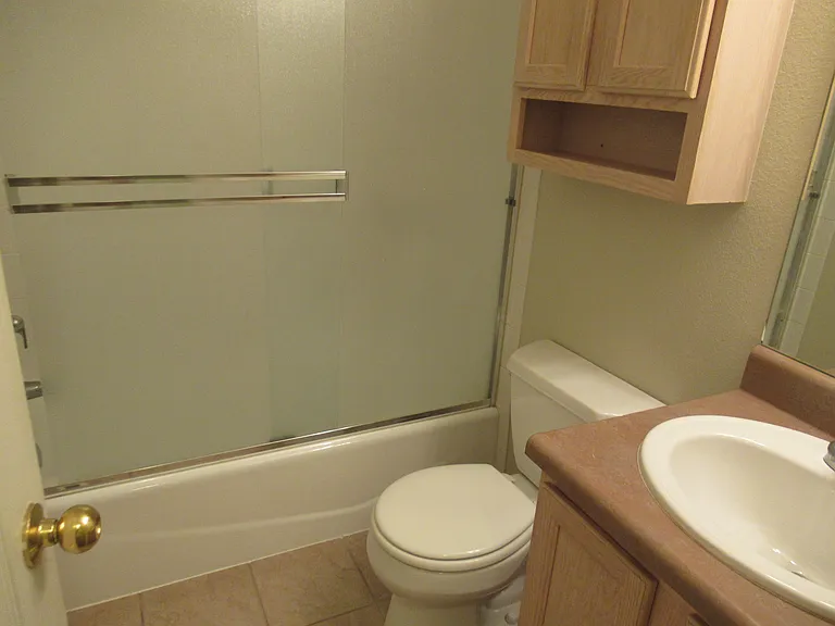 Hall bath upper level