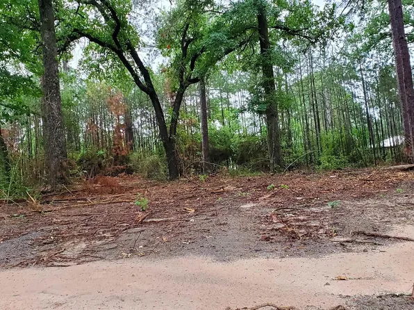 County Road 336, Jasper, TX 75951