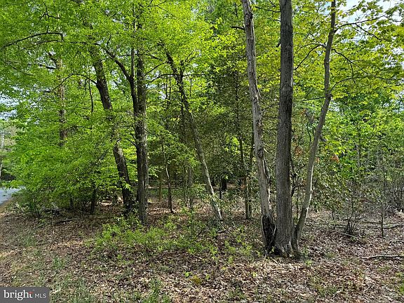 5th image of Old Marshall Hall Rd