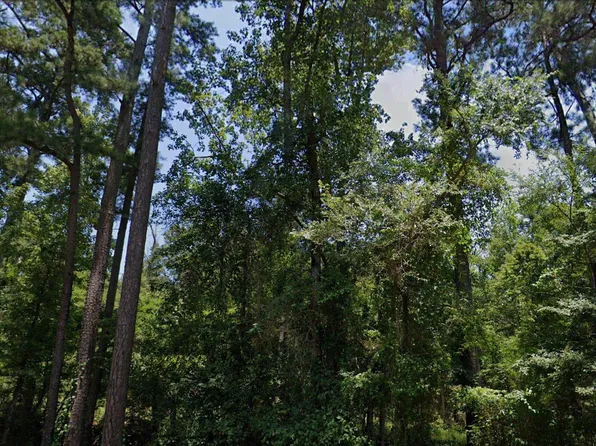 County Road 3552, Queen City, TX 75572