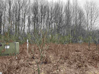 LOT 20 Crestview Dr, Cadillac, MI, 49601