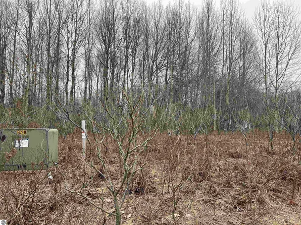 LOT 20 Crestview Dr, Cadillac, MI 49601