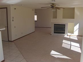 Den with Fireplace