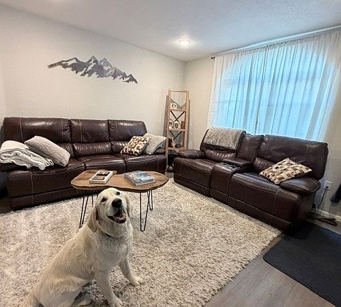 All furniture, wall art, big screen TVs use included in rent. (not the dog). :)