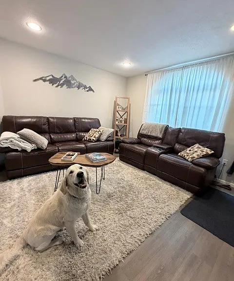 All furniture, wall art, big screen TVs use included in rent. (not the dog). :)