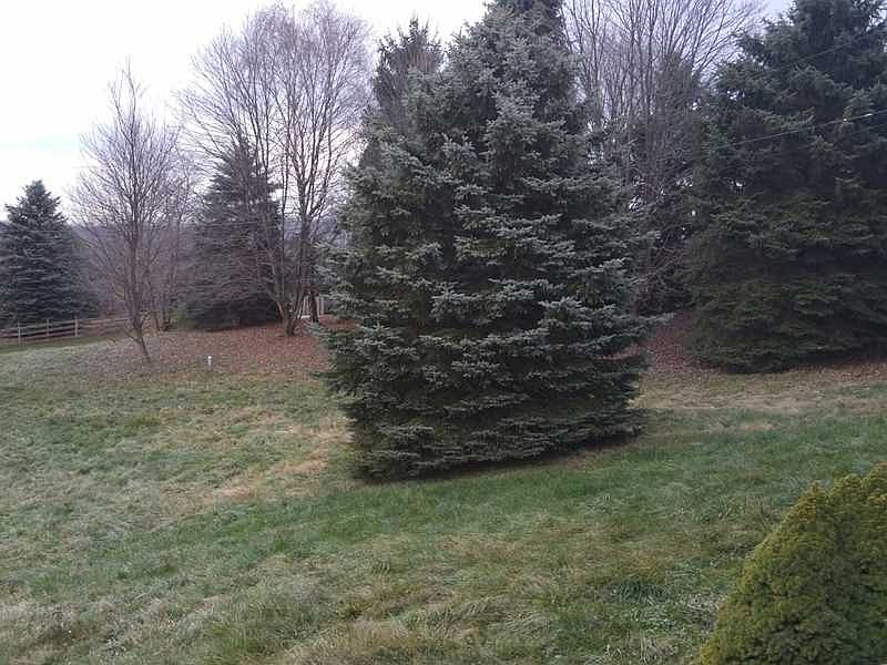 2nd image of 272 McCleary Rd