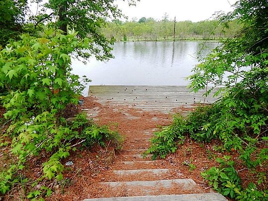 5th image of 419 Forest Cove Dr