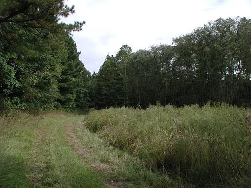 2nd image of 4545 Kincaid Bridge Rd