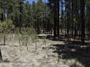 61 County Rd, Alpine, AZ 85920