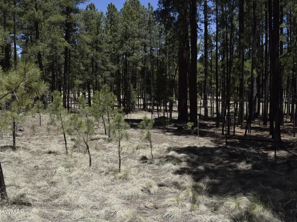 61 County Rd, Alpine, AZ 85920