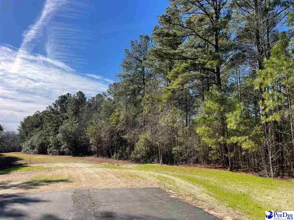 106 Thistledown Ln, Cheraw, SC 29520