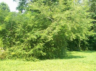 0 Blue Springs Rd LOT 11, La Follette, TN 37766