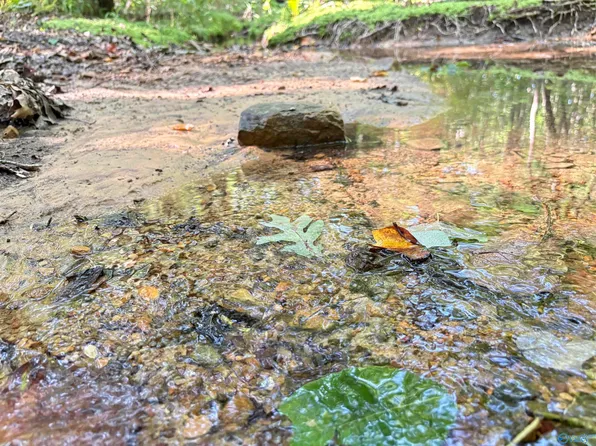 County Road 303, Princeton, AL 35766