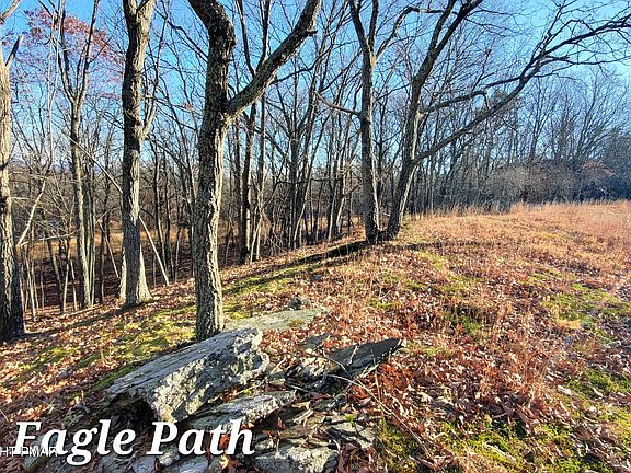 5th image of LOT 193 Eagle Ln