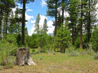 635 Redtail Loop Rd, Clio, CA 96106