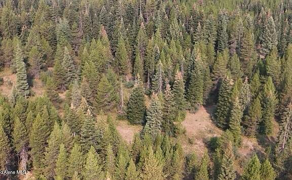 5th image of Nka Lost Cabin Trl