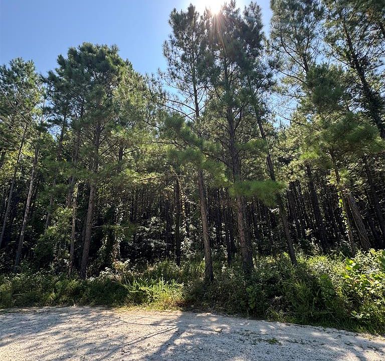 2nd image of 41 Creek Side Trail