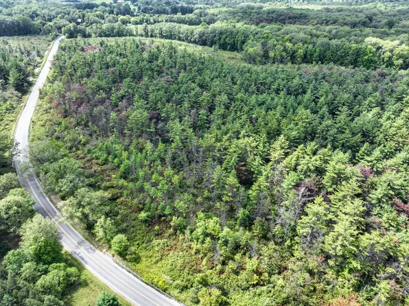 Vl Orchard Road North Side Lot Wp001, Delton, MI 49046