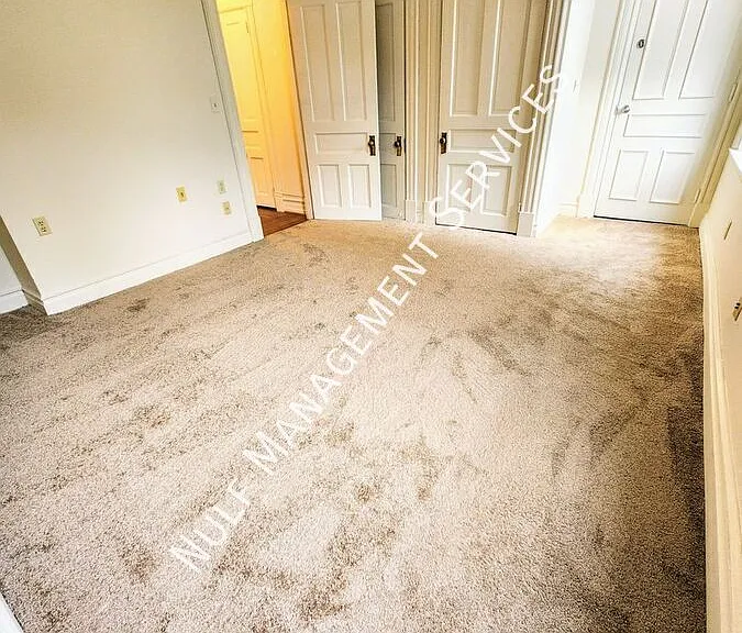 5518 Ellsworth Ave #2 — Photo 2