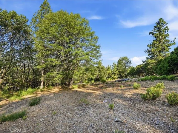 9003 Fox Dr, Cobb, CA 95426