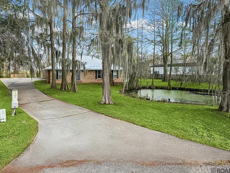 39006 Camp Dr — Photo 3