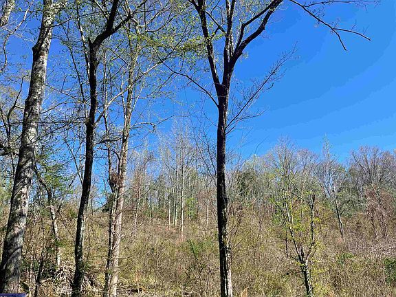 2nd image of County Road 3223 S